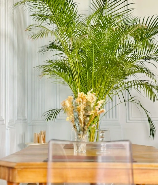 Originelle Unterkunft Narbonne — Palme und goldene Holzvertäfelung Suite Sarah Bernhardt